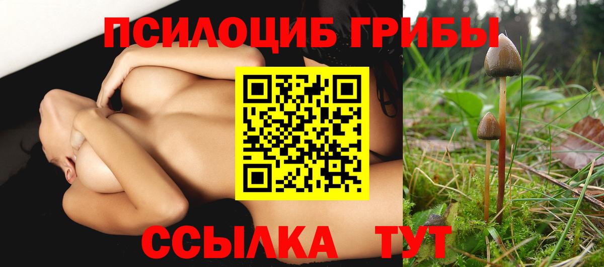 Свободный  Галлюциногенные грибы мухоморы  Вход с VPN 